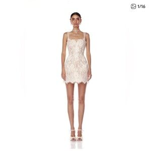 NWOT Bronx and Banco Colette Lace Mini Dress
